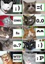 catemoticons.jpg