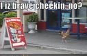 funny-pictures-brave-chicken-kfc.jpg
