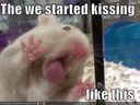 funny-pictures-hamster-kiss-glass.jpg