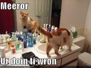 funny-pictures-mirror-cat.jpg