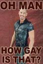 howgayisthat.jpeg