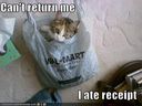 funny-pictures-cat-wal-mart-bag.jpg